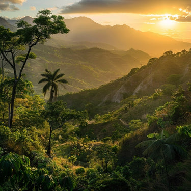 Landscape Canvas Print